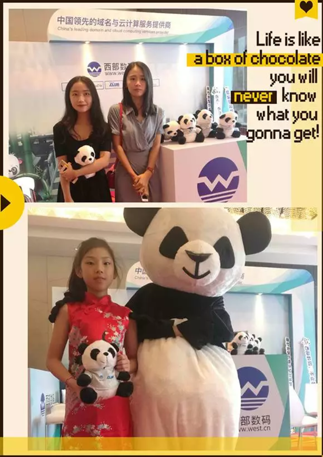 域名圈美女到西部數(shù)碼展臺(tái)留影 域名圈美女到西部數(shù)碼展臺(tái)留影